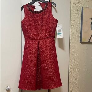 Rare Editions Vibrant Red Dress